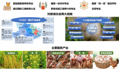 <b>用数“行业标杆”的含金量</b>