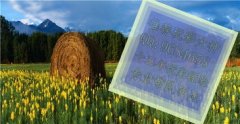 <b>这片陈旧而奥秘的土</b>